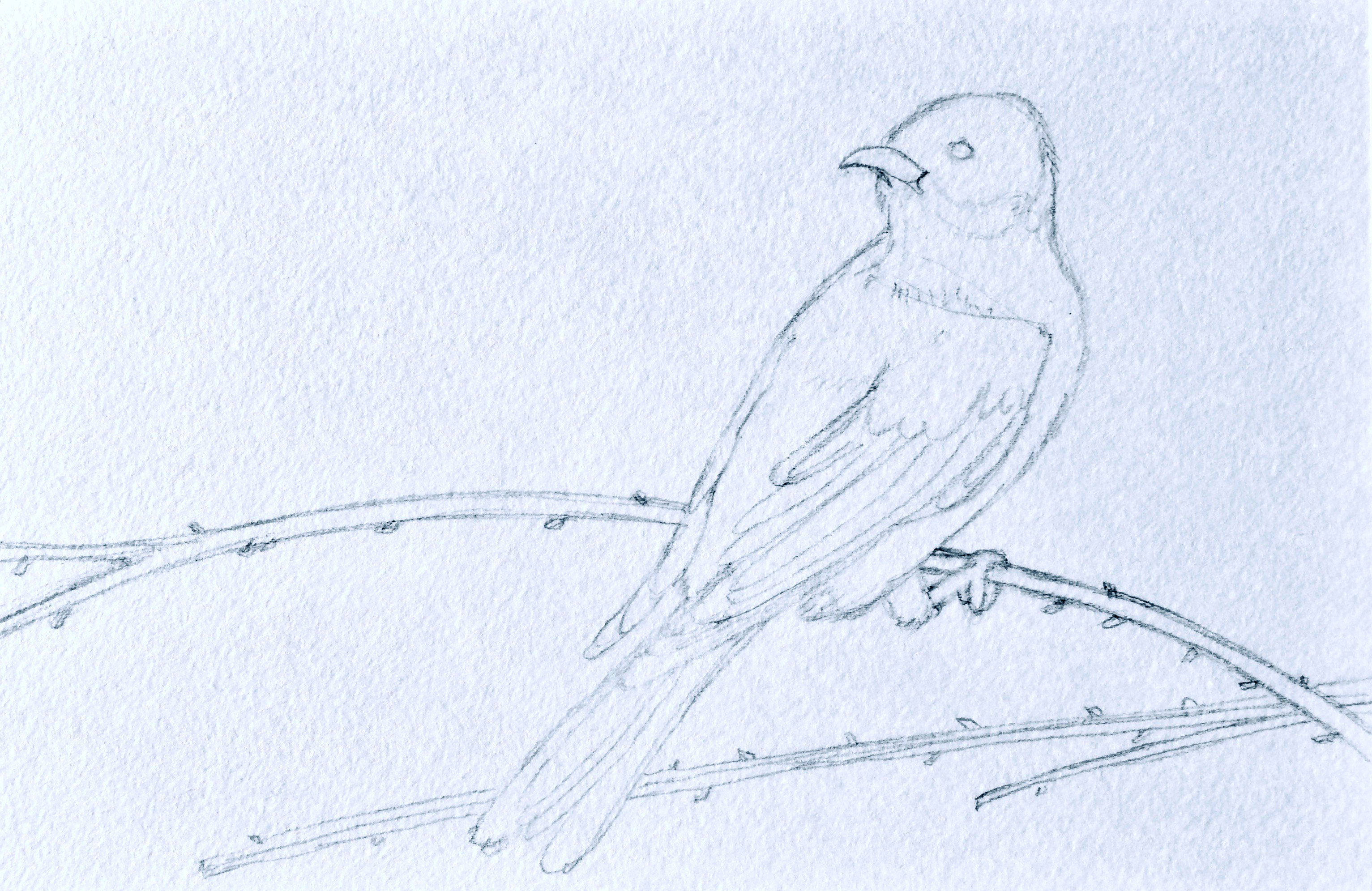 study