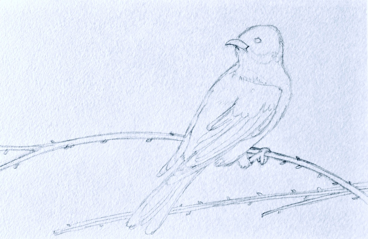 study