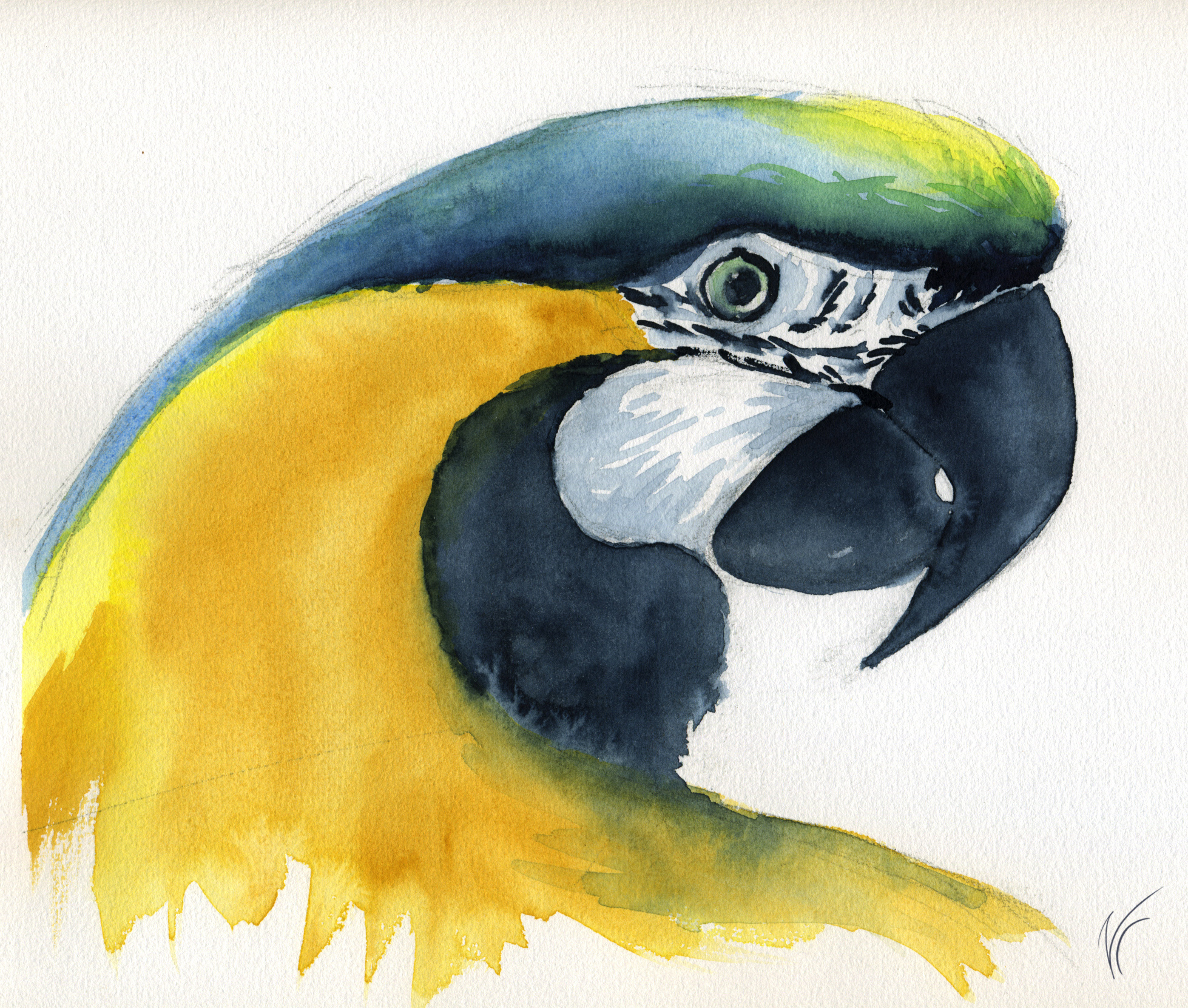 painting