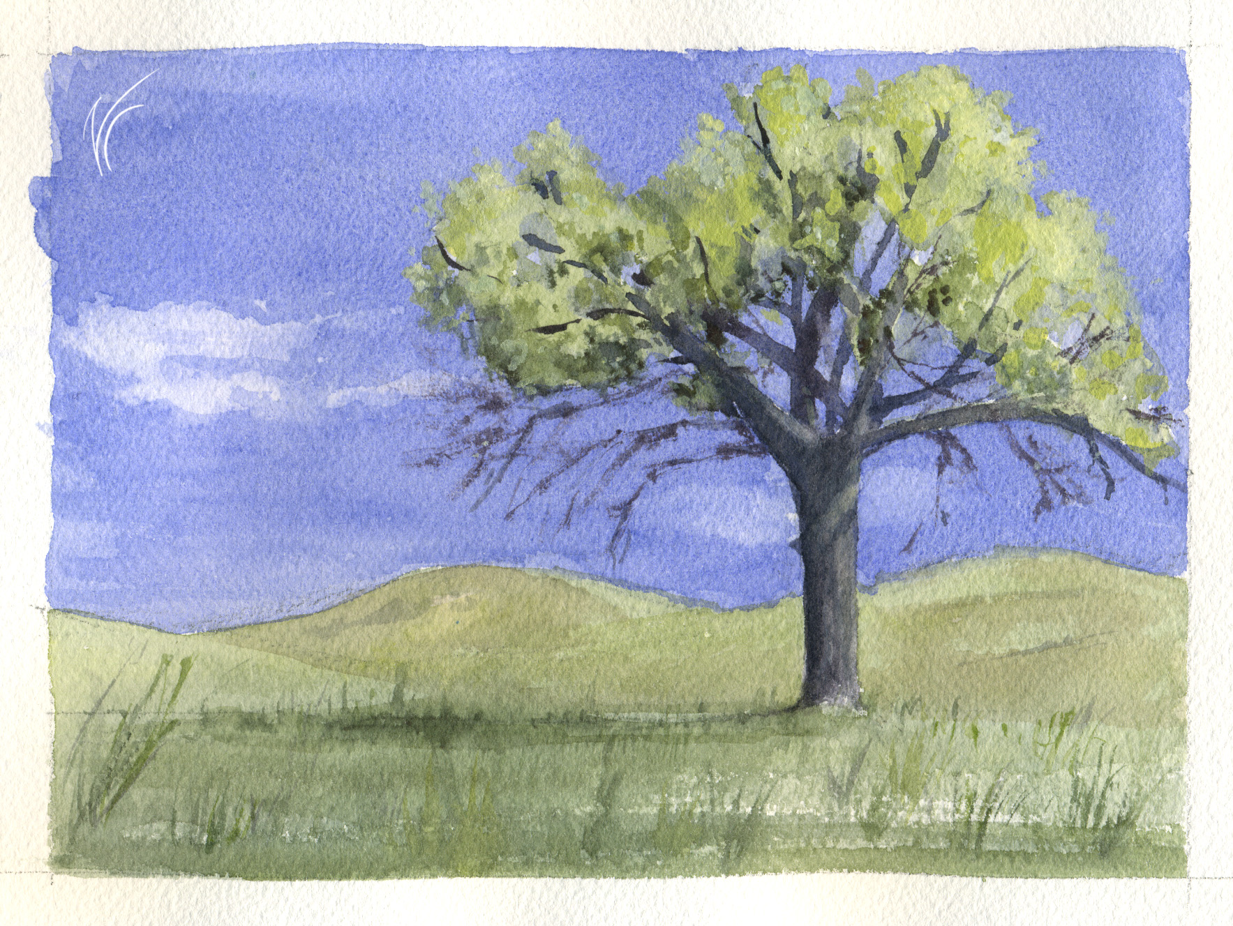 painting